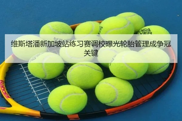 维斯塔潘新加坡站练习赛调校曝光轮胎管理成争冠关键